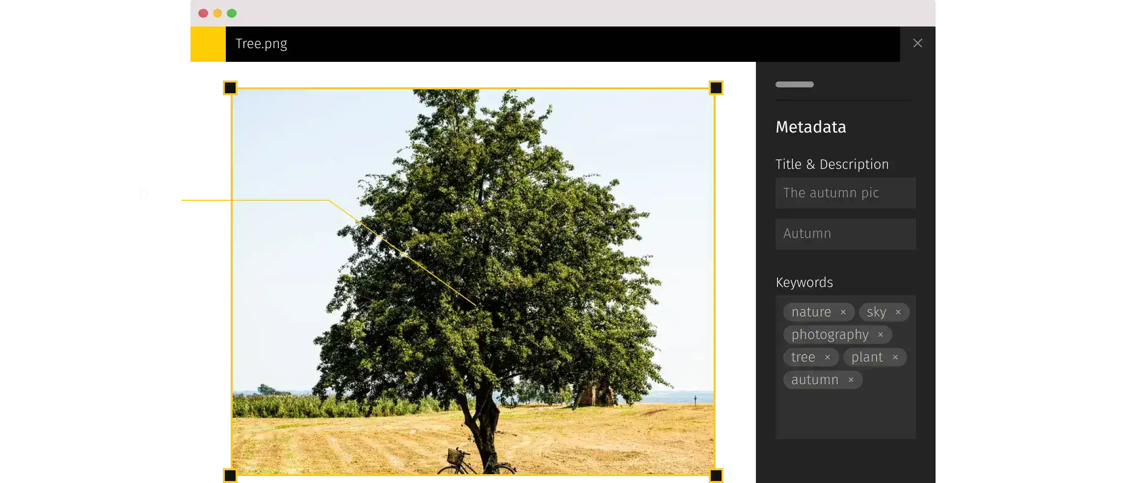 what-is-metadata