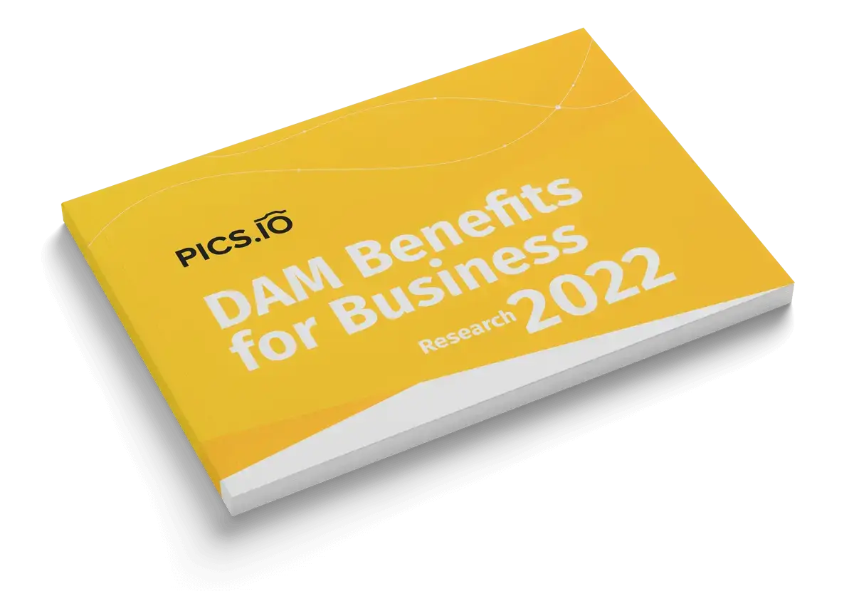 Rapport sur les avantages du DAM 2022 | par Pics.io