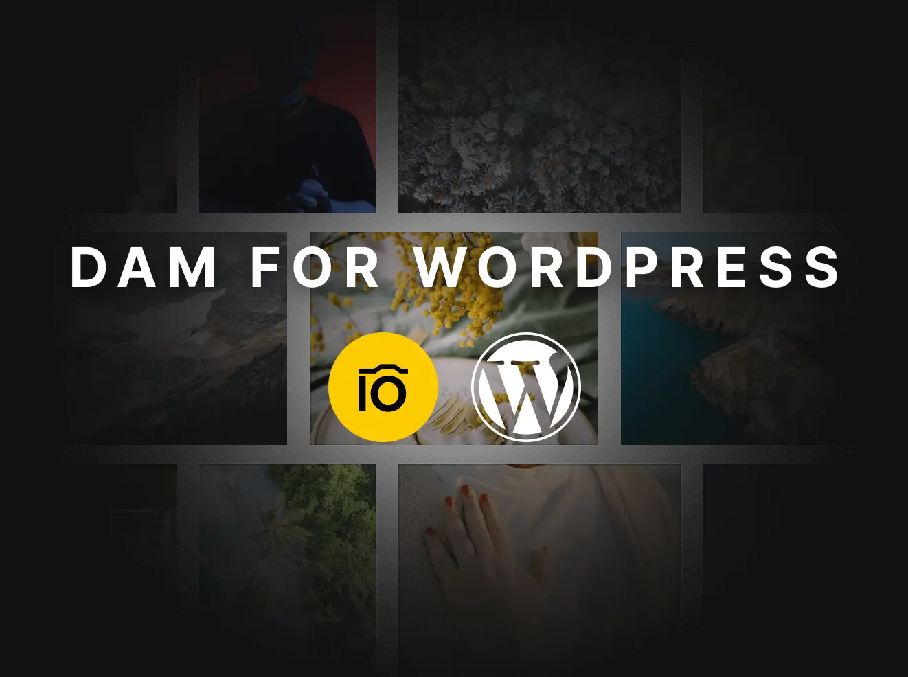 Das WordPress-Plugin Pics.io zur Verwaltung digitaler Assets löst einige wichtige Probleme
