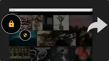 Teilen Sie Bilder, Videos und andere Dateien direkt aus Ihrer digitalen Bibliothek von Pics.io