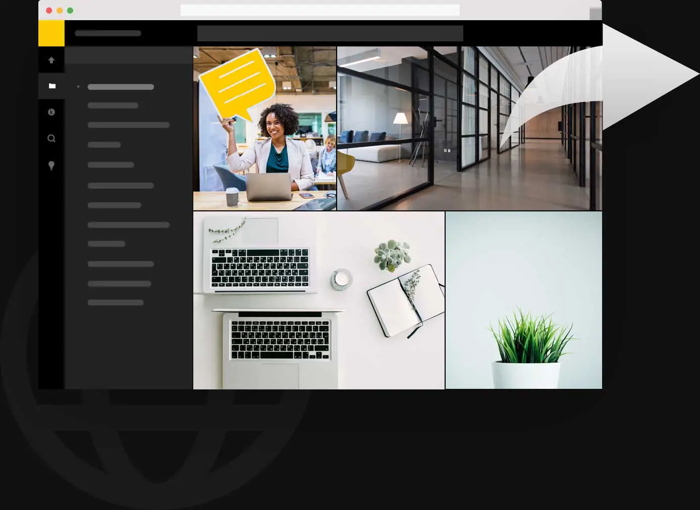 Sammlungen außerhalb von Pics.io teilen