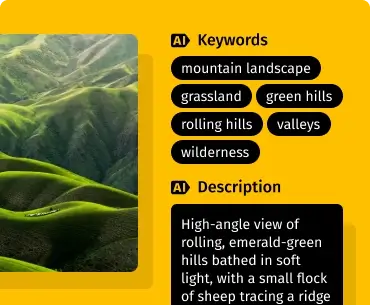 tag-description-generation