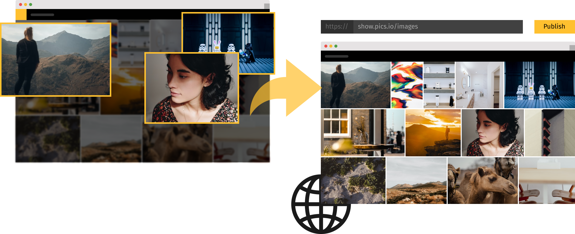 easy-sharing-of-digital-assets-with-pics-io-dam-platform