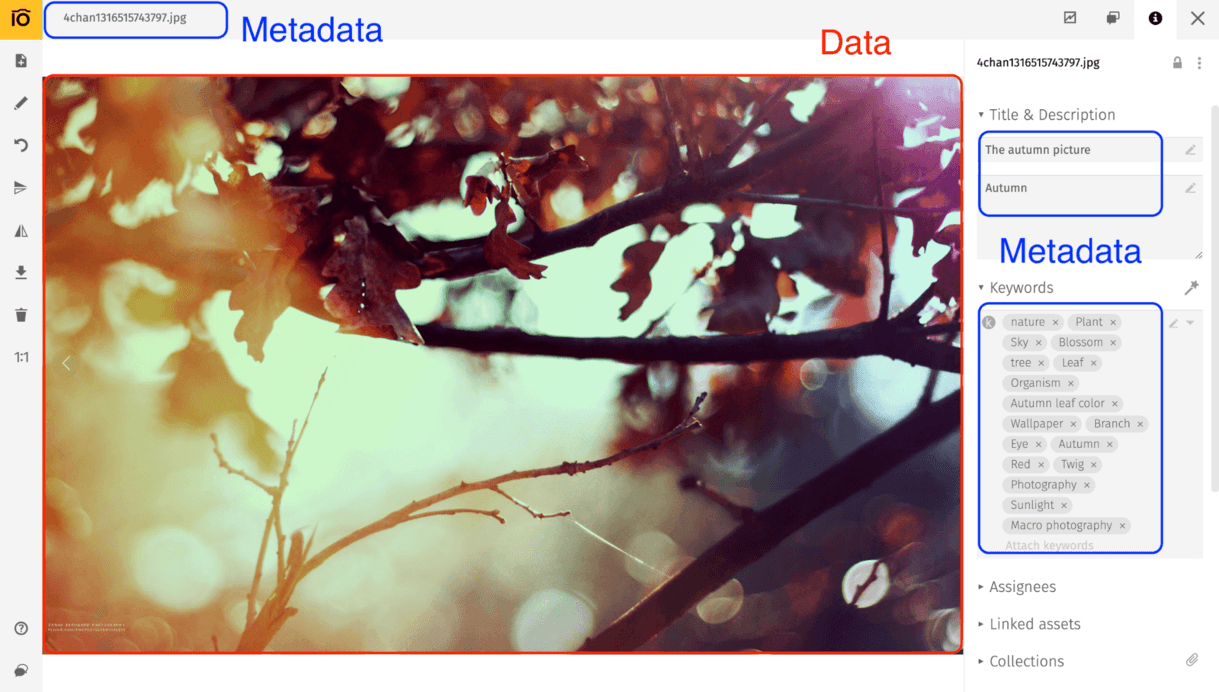 Image metadata