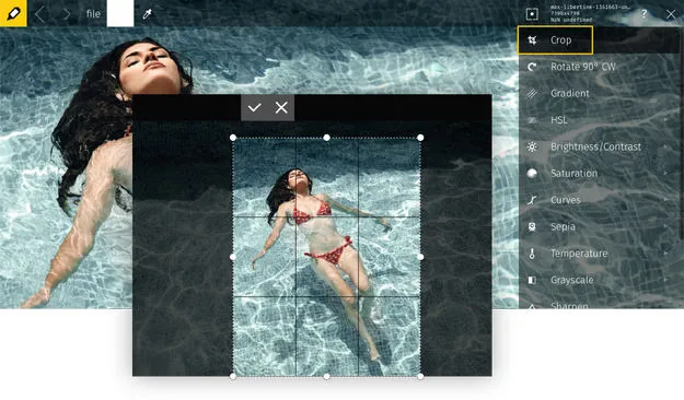 Learn how to crop your JPG photos with Raw.pics.io
