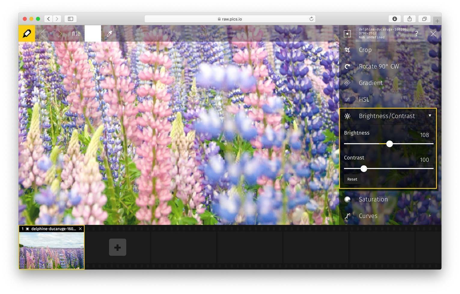 Photo Brightener Bright Image Online Raw.Pics.Io