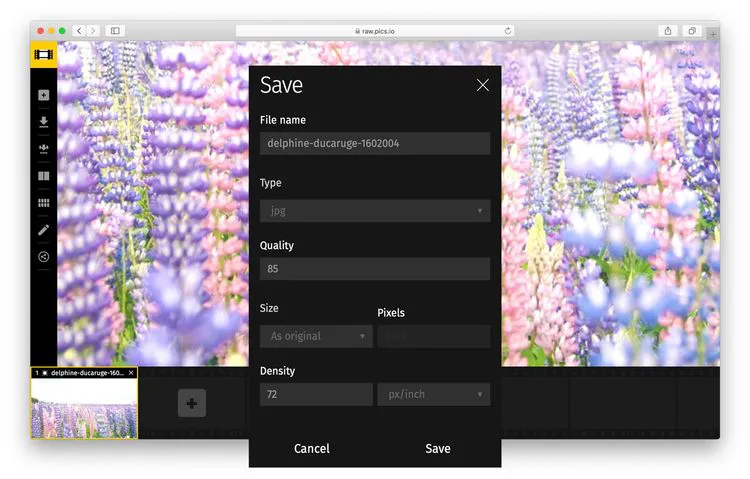 Use Raw.pics.io - online photo darkener