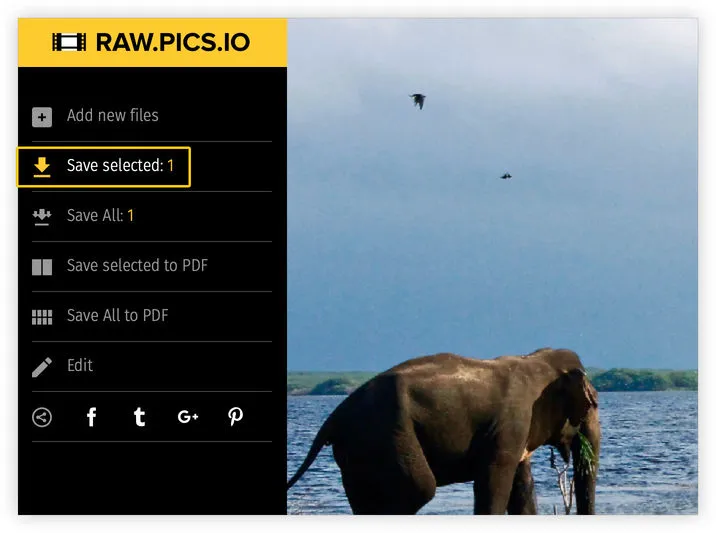 Learn how to resize photo with Raw.pics.io