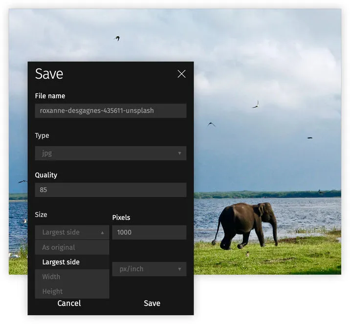 Shink your images for different uses